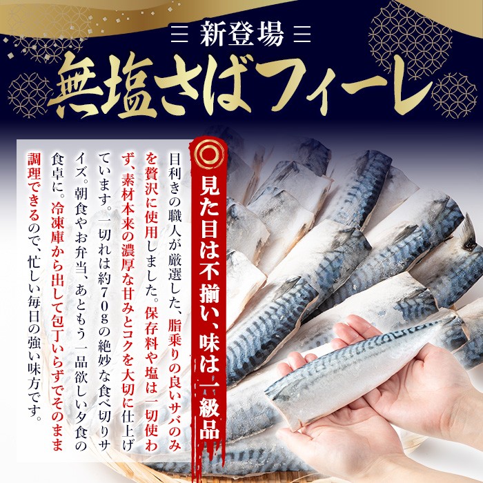 No.1383-C 訳あり！無塩とろさばフィーレ(約3kg) 干物 さば サ