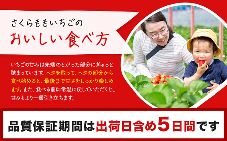 さくらももいちご 4パック 佐那河内村限定 いちご