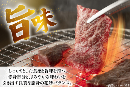 肉 牛肉 長崎 和牛 ロース 焼肉用 約 600g [萩原食肉産業 長崎県 平戸市 hr42bgy410008]