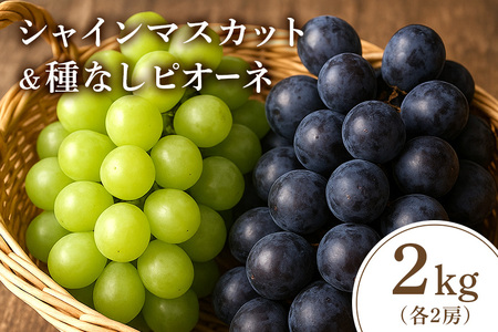 【2026年先行予約】シャインマスカットとピオーネ（種なし）2kg（シャインマスカット2房、ピオーネ2房） 葡萄 ブドウ フルーツ 果物 くだもの 産地直送 茨城県 石岡市 A02-026