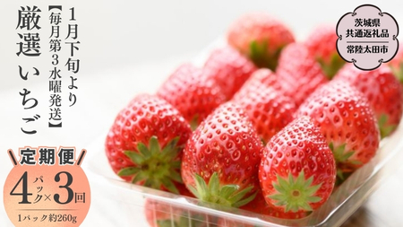 【2026年 先行予約】【定期コース】厳選いちご ４パック×3回【第3水曜発送】（茨城県共通返礼品／常陸太田市） [DY010sa]