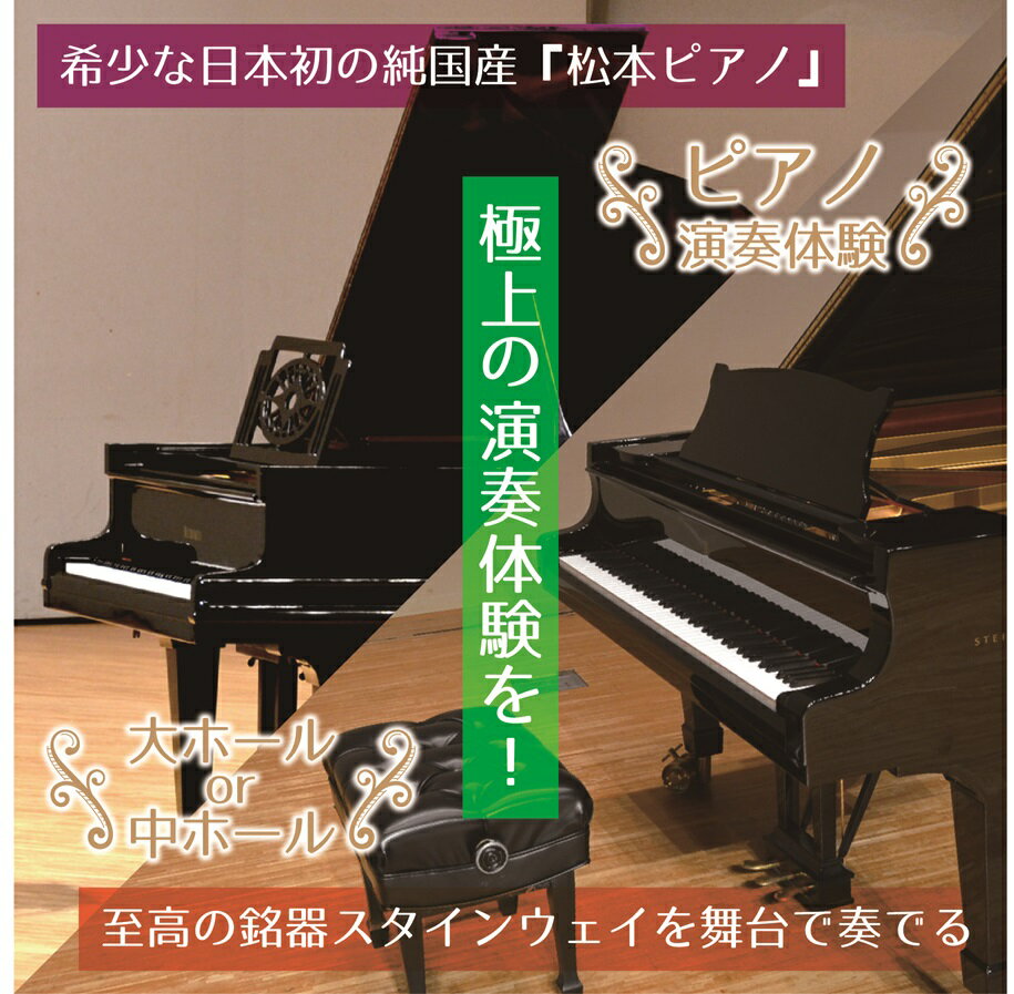 【ふるさと納税】 ピアノ演奏体験 ～「松本ピアノ」 or 「スタインウェイ」 | イベント チケット 体験チケット 松本ピアノ ベビーグランドピアノ スタインウェイ D-274 グランドピアノ ぴあの 演奏 希少 レア 君津市民文化ホール プレゼント 記念 千葉県 君津市