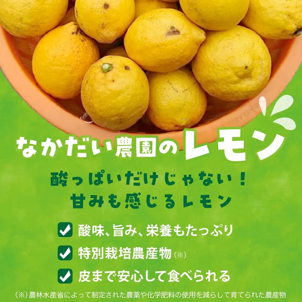 【先行受付】【2026年12月～発送】栽培期間中農薬不使用「レモン」 約1kg ku033-004-26