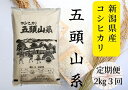 【ふるさと納税】「米屋のこだわり阿賀野市産」≪3回定期便≫コシヒカリ2kg×3回