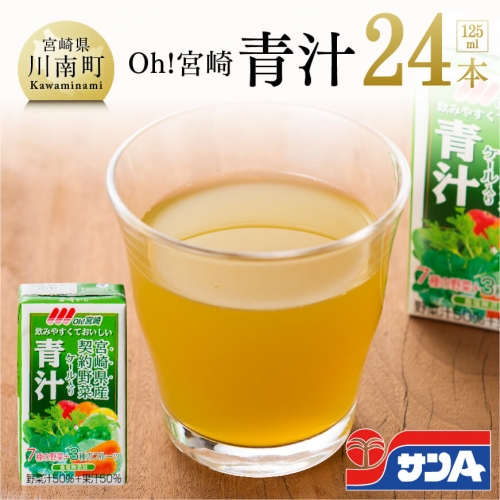 サンA Oh!宮崎 「 青汁 」 125ml×24本セット 【 飲料類 ソフトドリンク 野菜ジュース ご当地飲料 】 宮崎県川南町