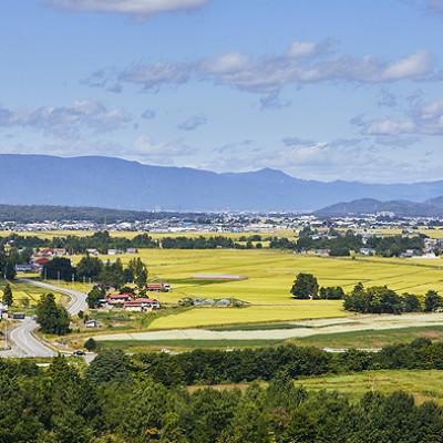 ふるさと納税 川西町 令和6年産　山形県産　つや姫・雪若丸　計10kg |  | 03