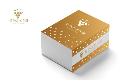 【訳あり】粒の大きさが不揃い 星乃シャインマスカット1.3kg 2房～4房入り【配送不可地域：離島・北海道・沖縄県】【1554831】