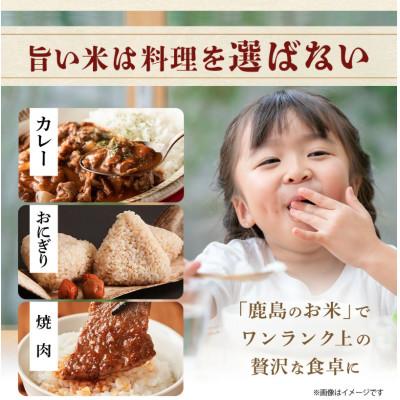 ふるさと納税 鹿島市 令和7年度産 鹿島市産 [さがびよりor夢しずく] 5kg 1袋 【品種指定不可】 玄米 |  | 03