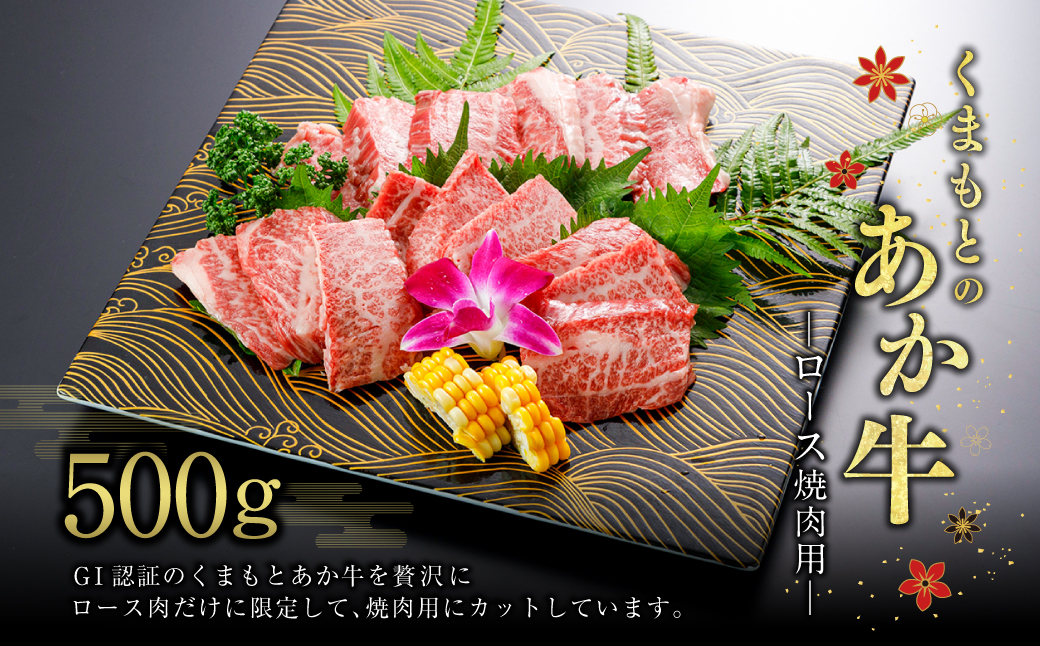 G59Q 【GI認証】くまもとの あか牛 ロース 焼肉用 500g