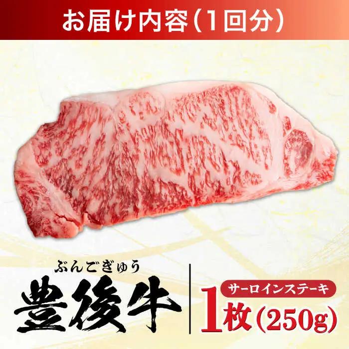 【全6回定期便】おおいた豊後牛 サーロインステーキ 250g (250g×1枚) サーロインステーキ  [AREI054]