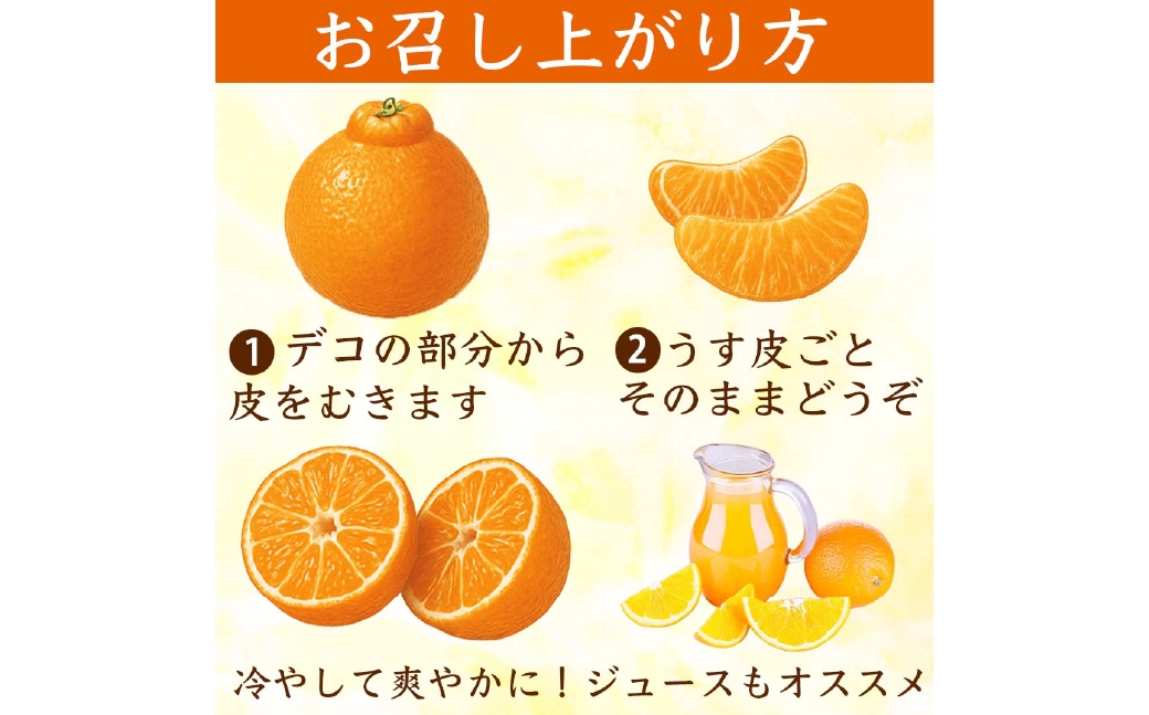 不知火（デコポン同品種）12～24玉約5kg