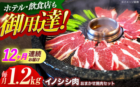 【12回定期便】猪肉おまかせ焼肉セット 1.2kg (ロース・モモ・バラ)[OAJ036]猪肉ジビエ猪肉ジビエ猪肉ジビエ猪肉ジビエ猪肉ジビエ猪肉ジビエ