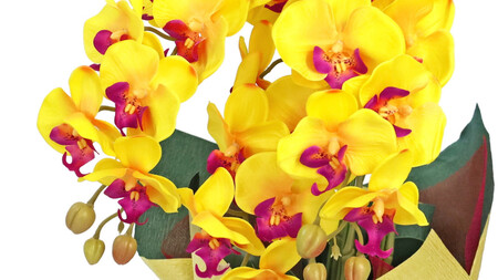 No.829-03 造花 シルクフラワーの胡蝶蘭の鉢植え 3本立 CT触媒 イエロー