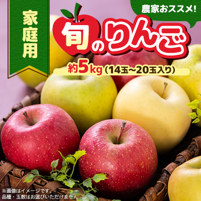 家庭用【2025年8月～10月発送】農家おススメ!旬のりんご約5kg(14玉～20玉入り)(冷蔵)【配送不可地域：離島】【1222616】