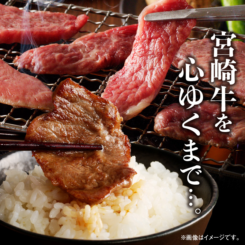 宮崎牛焼肉食べ比べ6種盛600g N0140-ZB237