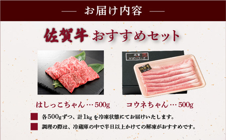 佐賀牛おススメセット (コウネちゃん・はしっこちゃん) 各500g