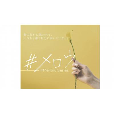 ふるさと納税 八王子市 VETRO No.19 カラージェルネイル　#メロウシリーズ3個セットA　514・515・516