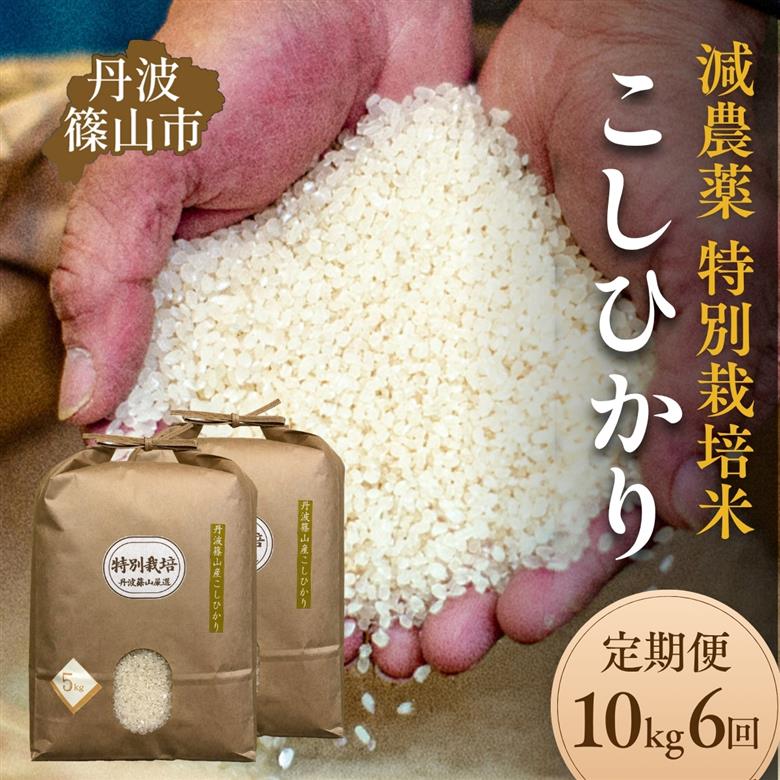 【定期便】令和7年産 丹波篠山 コシヒカリ 特別栽培米 10kg×6回お届け 低温貯蔵 香り良い 美味しいお米 国産米 白米 丹波篠山