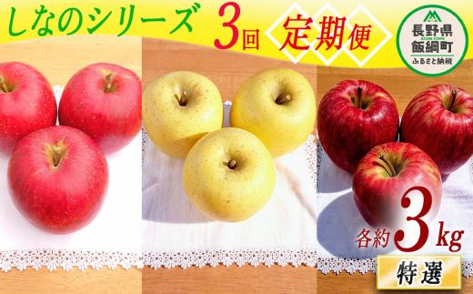 【 定期便 】シナノシリーズ  特選 3kg × 3回 やまじゅうファーム 沖縄県への配送不可 2025年9月下旬頃から2025年11月下旬頃まで順次発送予定 令和7年度収穫分 信州の環境にやさしい農産物 減農薬栽培 長野県 飯綱町 [1800]