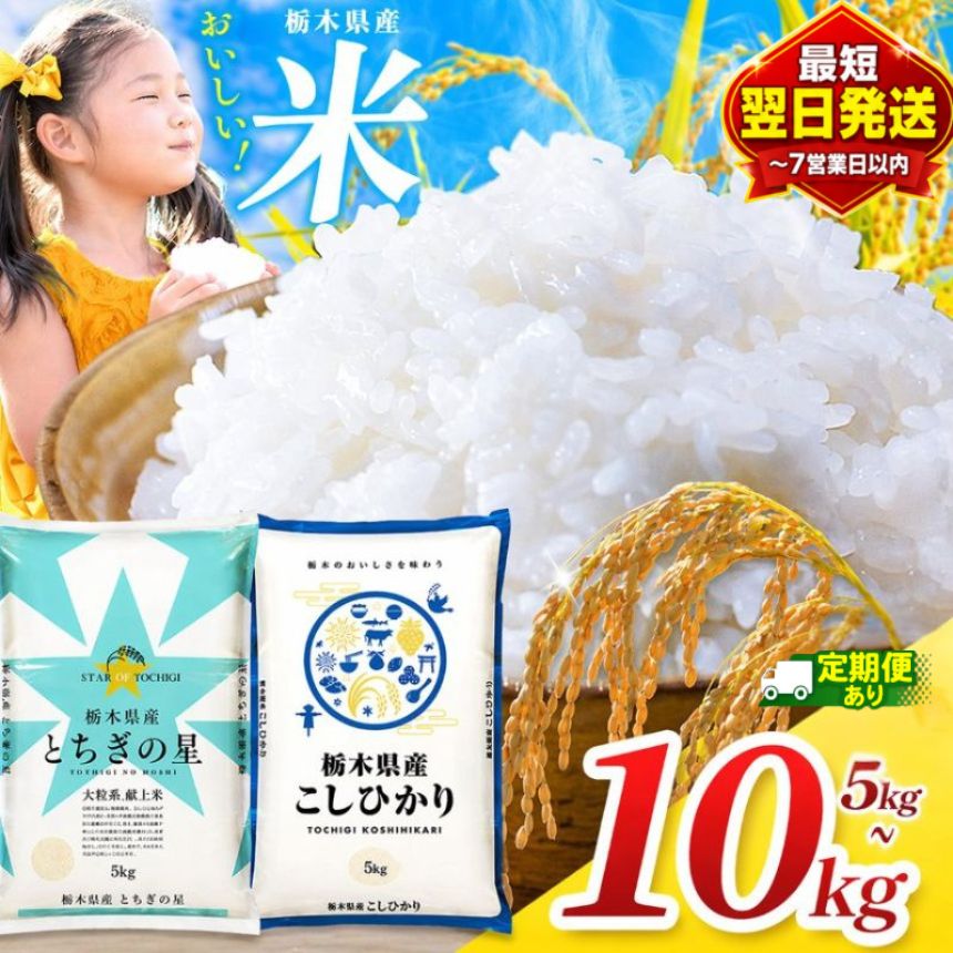 【ふるさと納税】＼最短翌日配送／米 お米 コシヒカリ とちぎの星 選べる 5kg 10kg 最短2営業日発送 送料無料 | こしひかり 栃木の星 白米 精米 令和7年産 訳あり じゃない 保存食 飯 ライス 栃木県 真岡市