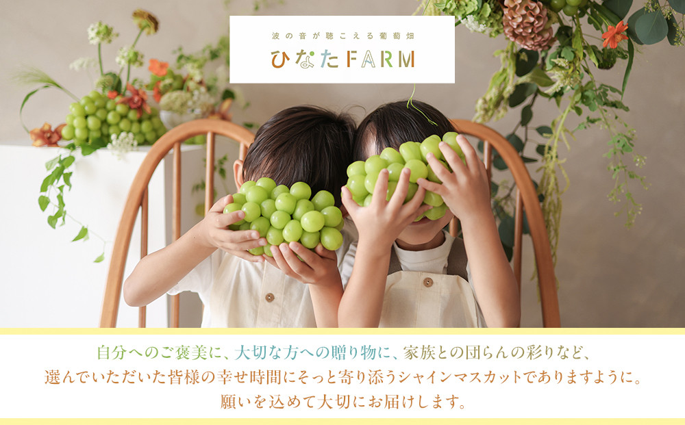 1039.【家庭用】波の音が聴こえる葡萄畑　ひなたFARM シャインマスカット