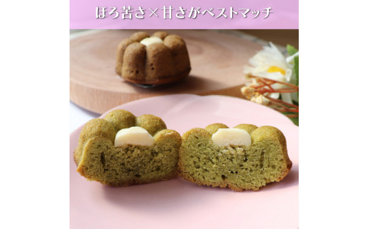 ＜さかわティグレ＞10個 　焼き菓子 個包装 フィナンシェ マドレーヌ 佐川茶 焙じ茶 ほうじ茶 ギフト プレゼント 化粧箱入 菓子職人手作り 保存料不使用 ホワイトチョコレート ガナッシュ 牧野富太