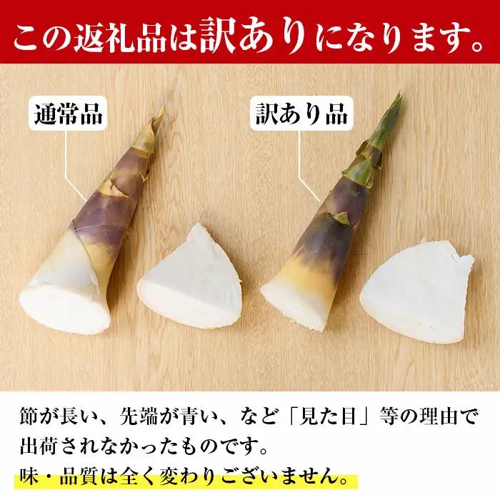 【先行予約】 訳あり 鹿児島県 出水市産 希少 高級食材 夏 たけのこ 皮付き 約2kg 【シンタク】 i342