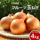 【ふるさと納税】フルーツ玉ねぎ4kg【サイズ色々】【 玉ねぎ タマネギ 玉葱 バーベキュー 送料無料 】