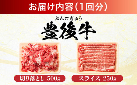 【全3回定期便】【訳あり】おおいた豊後牛 しゃぶしゃぶすき焼き セット(スライス・切り落とし) 750g  しゃぶしゃぶすき焼き 訳あり 豊後牛 しゃぶしゃぶ すき焼き 牛肉[AREI077]