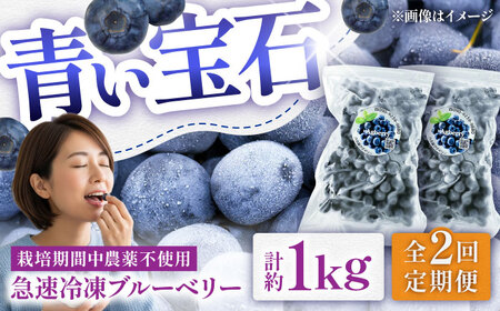 【全2回定期便】青い宝石 国産 急速冷凍ブルーベリー 計約1kg（約500g×2袋） 果物 くだもの フルーツ ぶるーべりー 熊本県 菊陽町【アグファーム株式会社】[BHCX010]