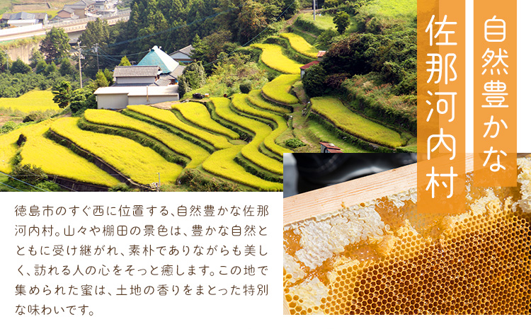 けんちゃんちの国産蜂蜜 200g×2個《30日以内に出荷予定（土日祝除く）》| ふるさと納税 はちみつ ハチミツ 蜂蜜 国産蜂蜜 天然蜜蜂 徳島県 佐那河内村 送料無料