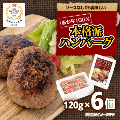 あか牛100%ハンバーグセット(あか牛ハンバーグ120g×6個)(南阿蘇村)【配送不可地域：離島】【1542634】