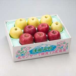【令和7年産・先行予約】糖度13度選果 サンふじ＆王林 約2.5kg　鮮度保持剤・保存用ポリ袋付【配送不可地域：離島・沖縄県】【1508209】