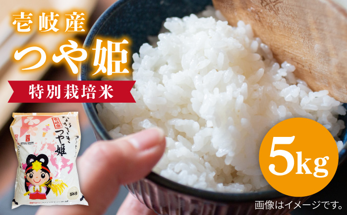 【R7年度産米】壱岐産 つや姫 5kg 《壱岐市》【壱岐市農業協同組合】[JBO024] 5キロ ご飯 ごはん お弁当 朝食 17000 17000円