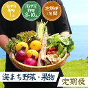 【ふるさと納税】年12回発送 旬の野菜と果物セット12ヶ月の定期便 定期便 大容量 大満足 レシピ付き 旬 野菜 フルーツ 定期便 12か月 お楽しみ 詰め合わせ 春 夏 秋 冬 おまかせ ギフト セット 新鮮 やさい 産地直送 直売所 美味しい 南伊豆町 送料無料 湯の花