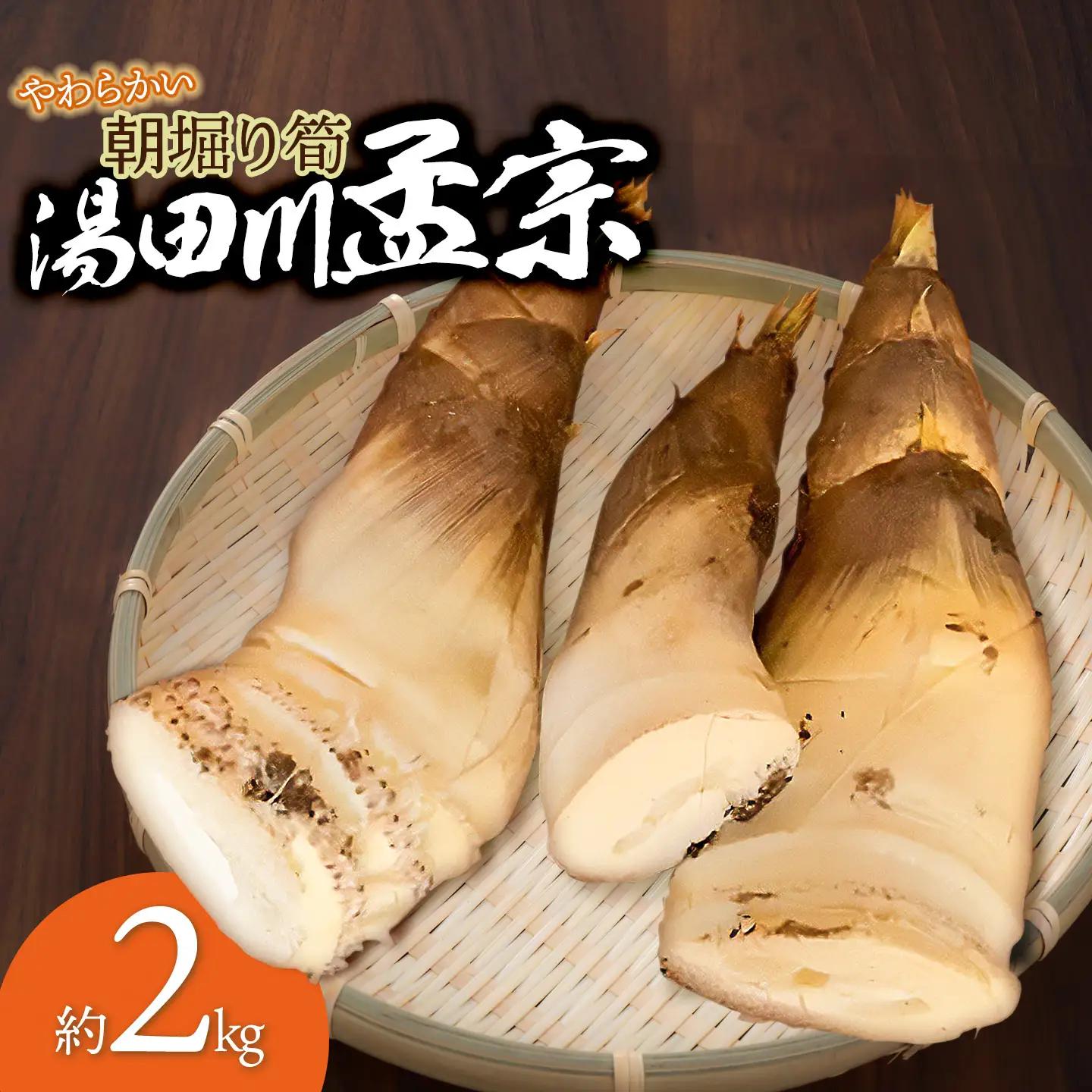 【令和9年産先行予約】庄内の春の味覚　やわらかい朝堀り湯田川孟宗（たけのこ）約2kg　山形県鶴岡市　にこにこふぁーむ　K-956　| 筍 竹の子 新鮮 旬の野菜 産地直送 春野菜 季節限定 国産 人気 おすすめ おいしい お取り寄せ 返礼品