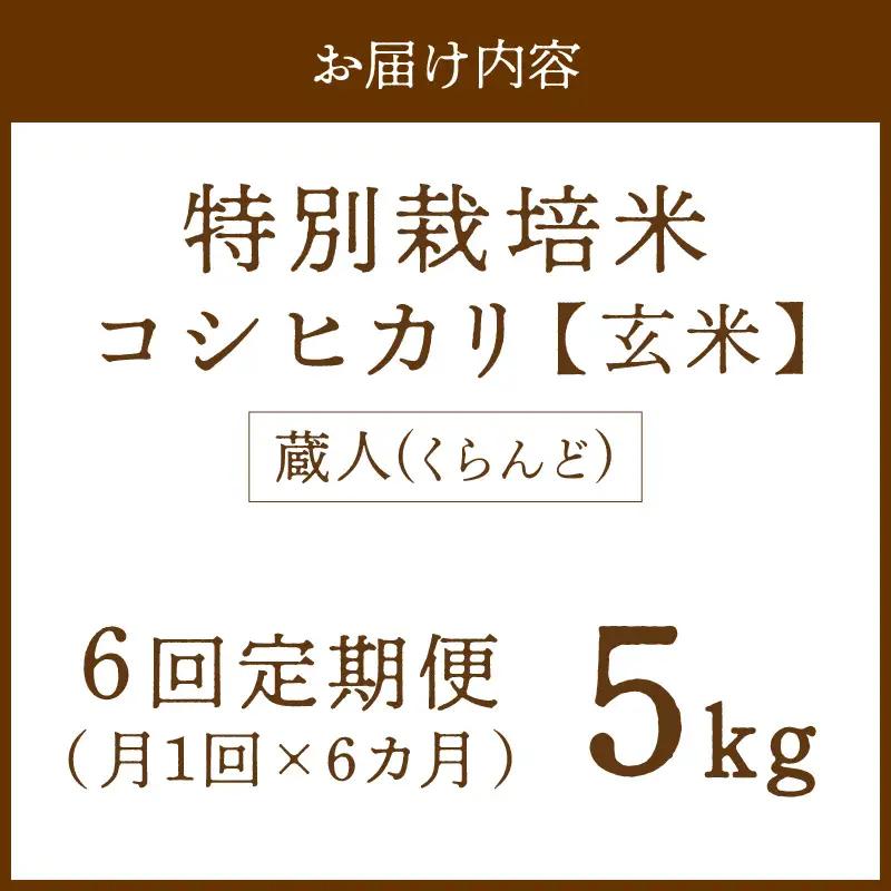 【定期便6回】令和8年産 特別栽培米コシヒカリ 蔵人（くらんど） 玄米5kg