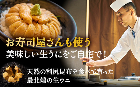 【先行予約】『天然刺身用』北むらさきウニ 120g ウニ 刺身 海鮮【配送不可地域：離島・沖縄県】【1004728】