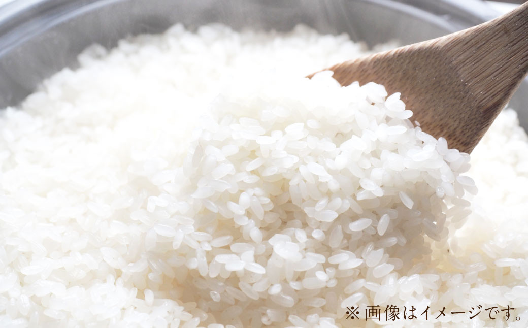 雪若丸〈令和6年産〉 約10kg（約5kg×2袋セット） 