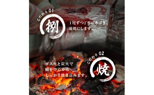 【数量限定】国産 八本木樽鰻の蒲焼(160g以上×5尾) b7-025