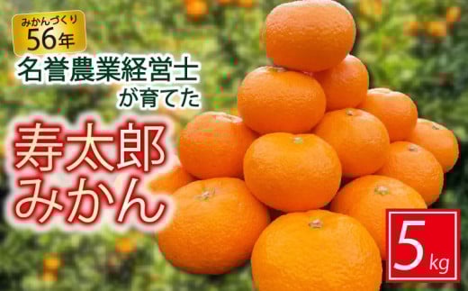 寿太郎 みかん 5kg M ～ 2L 柑橘 ミカン フルーツ 【 はらみかん 農園 】熟成 直送 数量 限定 ランキング 糖度 おいしい コスパ 甘い 人気 時期 旬 静岡 沼津 美味しい