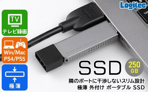 【019-12】ロジテック スリム外付けSSD　250GB【LMD-SPDL025U3】