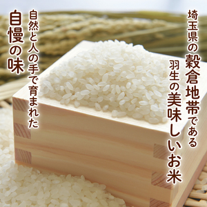 【新米】予約受付 2025 令和7年度産 新米 精米 10kg 彩のかがやき 彩のきずな お米食べ比べ 10月中旬以降順次発送 米 埼玉県 羽生市