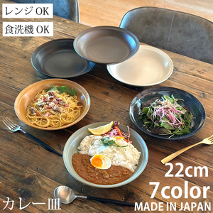 【美濃焼】 カレー皿 22cm / プレート 深皿 1枚 グレーマット 瑞浪市 / 窯元ロングアイランド おしゃれ 食器 シンプル レンジ対応 食洗機対応[AZCU171]