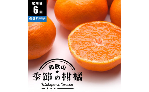 
                  ［偶数月 全6回 ］ 柑橘定期便A［IKE13］
                