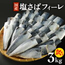 【ふるさと納税】〈訳あり〉国産 塩さば フィーレ 3kg 冷凍 さば 魚 切身 フィレ 鯖 わけあり 不揃い 急速冷凍 新鮮 魚 青魚 鯖フィレ サバフィレ 塩鯖 さば 切り身 焼き魚 焼魚 おかず 宮城県 石巻市