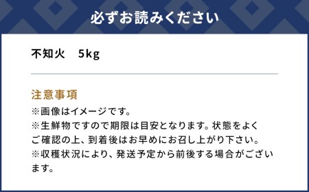 【先行予約】和田果樹園の柑橘 「不知火」 5kg  みかん ミカン オレンジ フルーツ 柑橘類 大分県産 九州産 津久見市 国産【tsu002902】