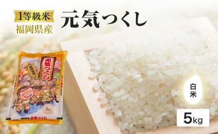 元気つくし 1等級米 白米 福岡県産 元気つくし【5kg】