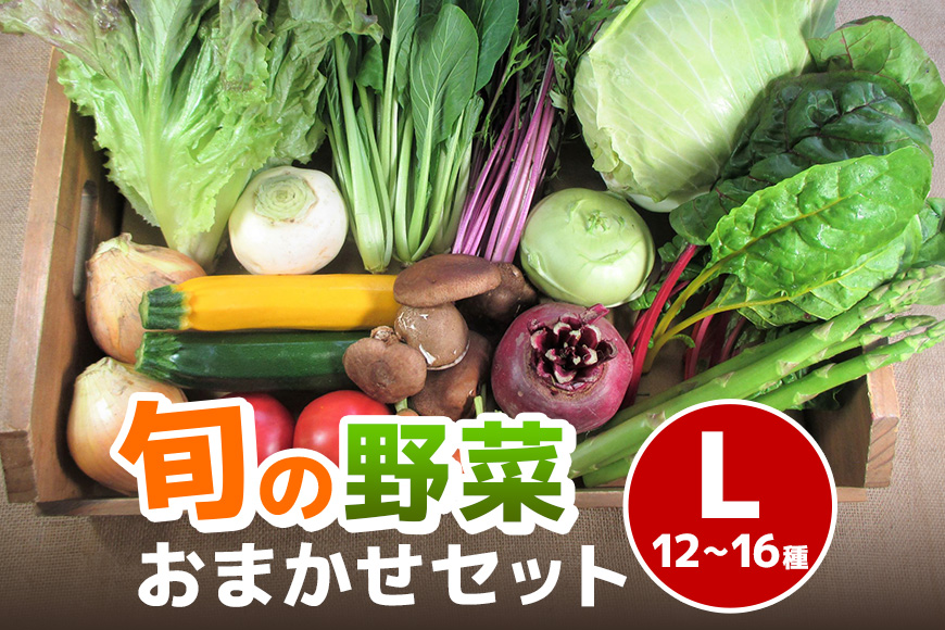 旬の野菜【L】セット【配達不可：北海道・沖縄・離島】