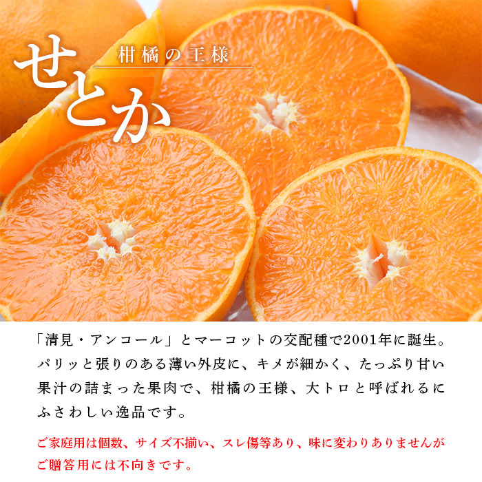 ＜愛媛県西予市産 せとか ご家庭用 約4kg＞ 訳あり 不揃い 傷 果物 フルーツ みかん ミカン 蜜柑 セトカ オレンジ 柑橘類 甘い 期間限定 食べて応援 特産品 宇都宮物産 愛媛県 西予市